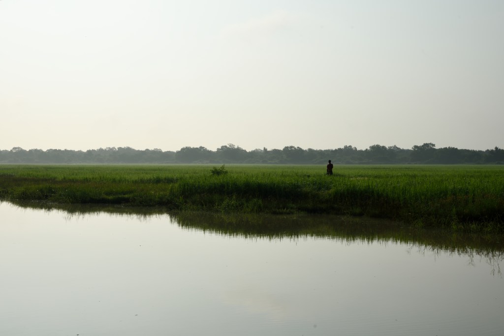 Poem | Lost&nbsp;Languages